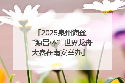 2025泉州海丝“源昌杯”世界龙舟大赛在南安举办