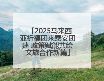 2025马来西亚祈福团来泰安团建 政策赋能共绘文旅合作新篇