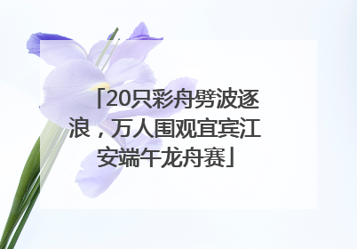 20只彩舟劈波逐浪，万人围观宜宾江安端午龙舟赛