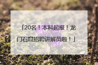 20名！本科起报！龙门石窟招聘讲解员啦！