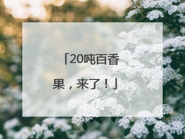 20吨百香果，来了！