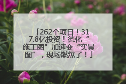262个项目！317.8亿投资！德化“施工图”加速变“实景图”，现场燃爆了！