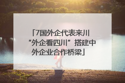 7国外企代表来川 “外企看四川”搭建中外企业合作桥梁