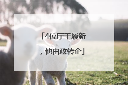 4位厅干履新，他由政转企