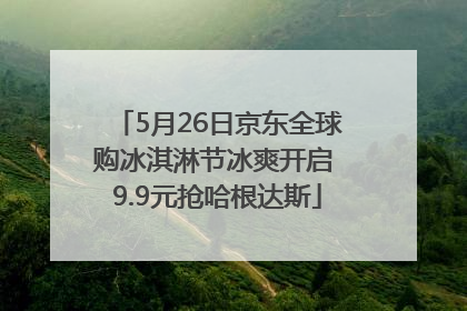5月26日京东全球购冰淇淋节冰爽开启 9.9元抢哈根达斯