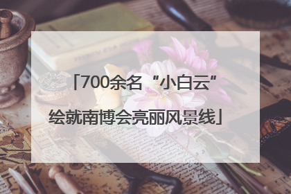 700余名“小白云”绘就南博会亮丽风景线