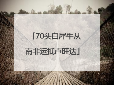 70头白犀牛从南非运抵卢旺达