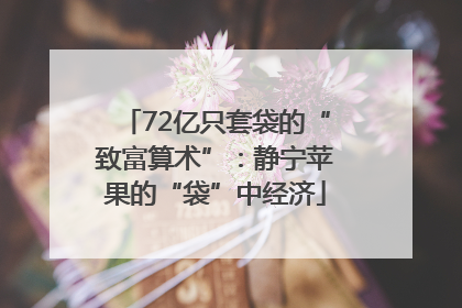 72亿只套袋的“致富算术”：静宁苹果的“袋”中经济