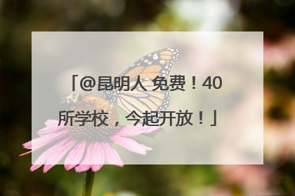 @昆明人 免费！40所学校，今起开放！