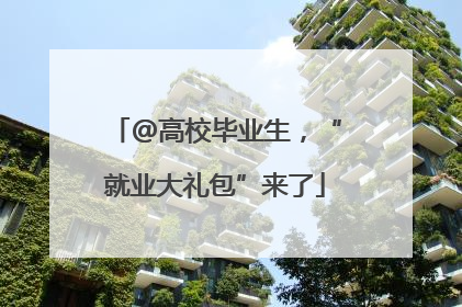 @高校毕业生，“就业大礼包”来了