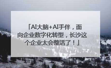 AI大脑+AI手伴，面向企业数字化转型，长沙这个企业太会整活了！