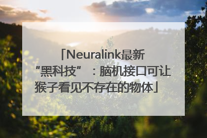 Neuralink最新“黑科技”：脑机接口可让猴子看见不存在的物体