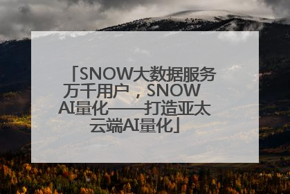 SNOW大数据服务万千用户，SNOW AI量化——打造亚太云端AI量化