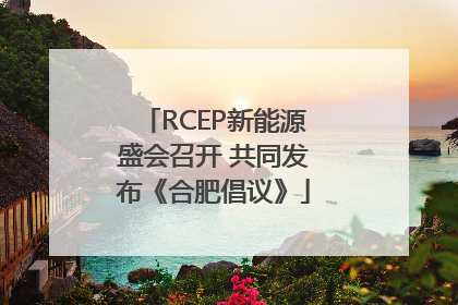 RCEP新能源盛会召开 共同发布《合肥倡议》